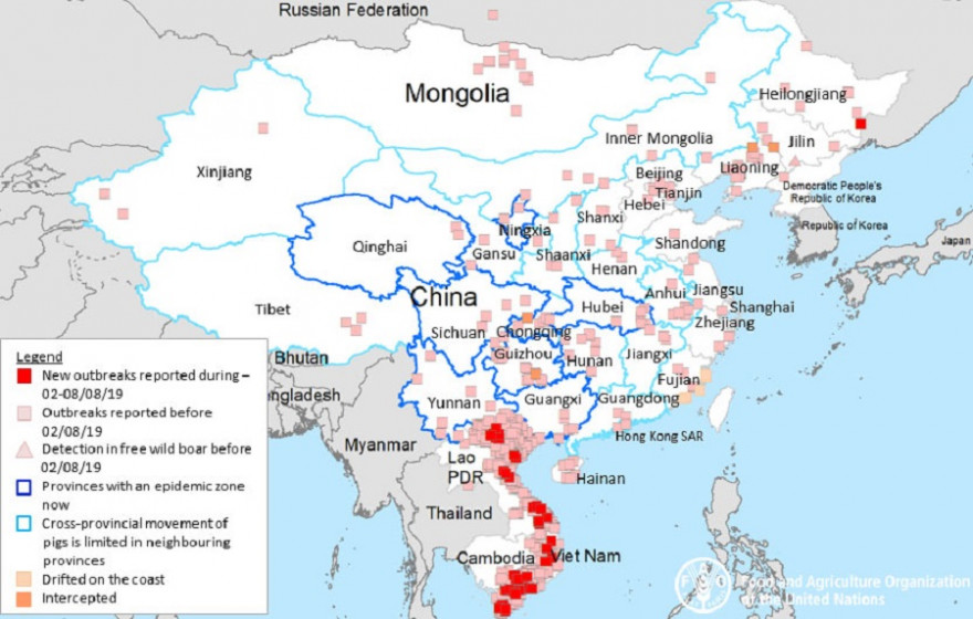 Quelle: FAO (China: MARA, Vietnam: WAHIS & media information, Kambodscha: MAFF, Andere: WAHIS).