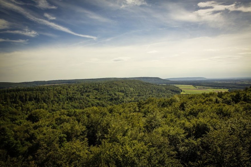 Landschaft