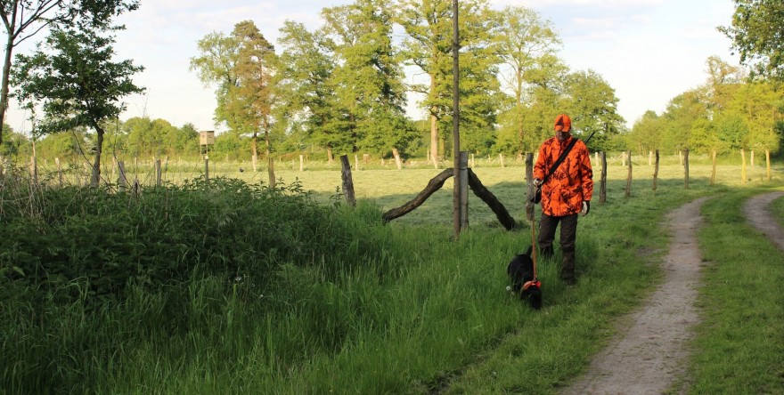 Hund und Jäger