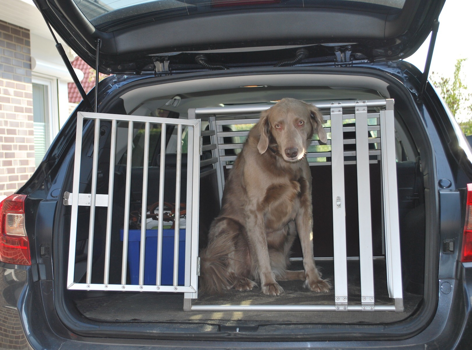 Spezielle Transportboxen für Hunde haben sich als geeignete Möglichkeit durchgesetzt, den Vierbeiner sicher im Auto unterzubringen. Bei Behältnissen für größere Hunde bleibt allerdings nicht mehr viel Platz im Kofferraum für das Gepäck.