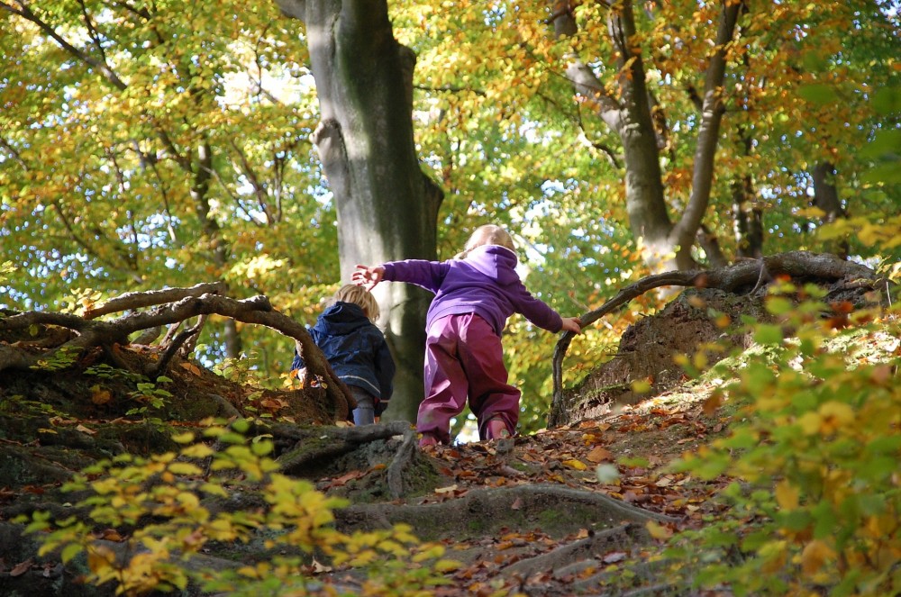 Kinder im Wald