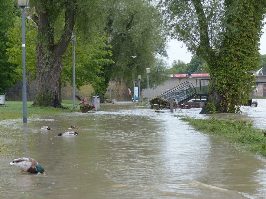 Hochwasser Donau