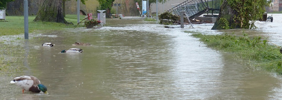 Eine Niederlage für Natur- und Artenschutz