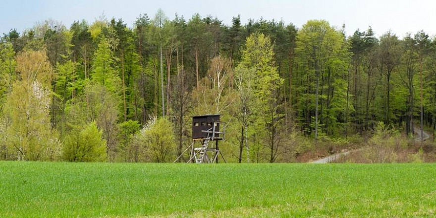 Hochsitz/Kanzel an einer Wiese (Foto: Gerald Thurner)