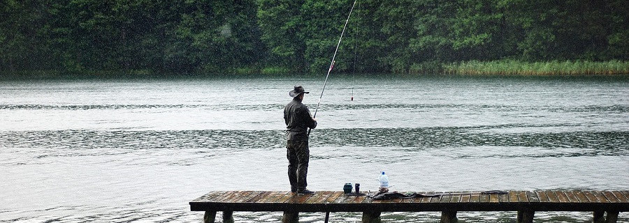 „Fische sind Freunde – Kein Essen“