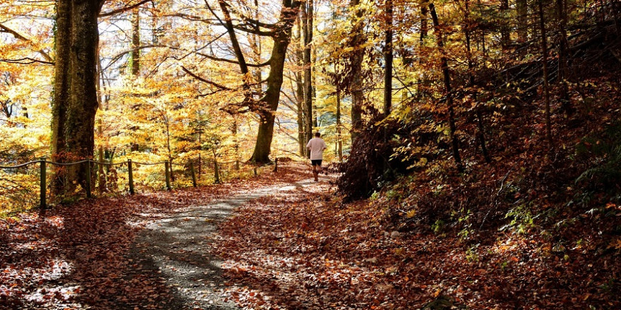 Jogger im Herbstwald.