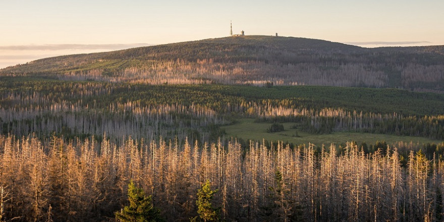 Der Brocken im Harz