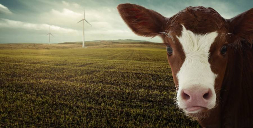 Die neuen Sektorziele für die CO2-Senkung in der Landwirtschaft sind ambitioniert. (Symbolbild: nosita)