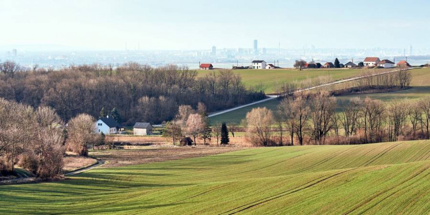 Ländlicher Raum mit Großstadt im Hintergrund (Symbolbild: zerpixelt)