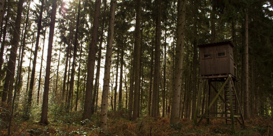 Ein Hochsitz im Wald.