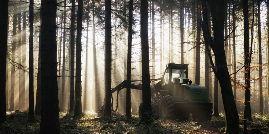 Harvester im Wald