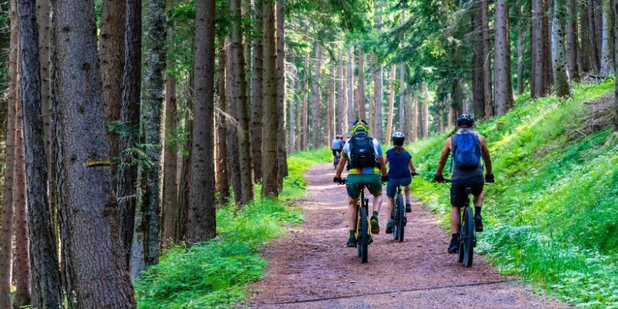 Gerade an Wochenenden sind Mountainbiker ein gewohnter Anblick in Deutschlands Wäldern (Foto: MaBraS)