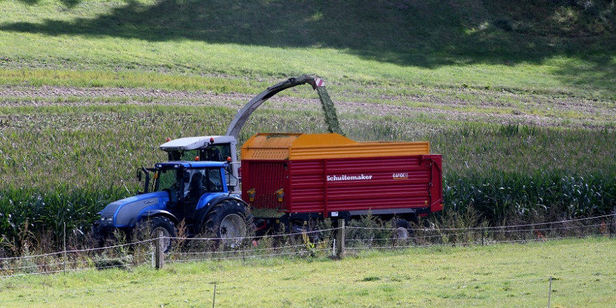 Traktor bei der Maisernte