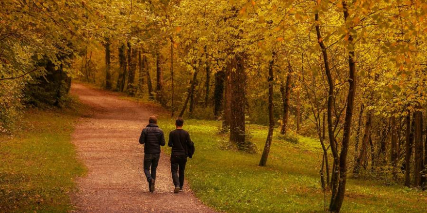 Erholungsuchende im Herbstwald (Foto: Lars Nissen)