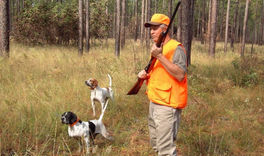 Ein Jäger mit zwei Jagdhunden.