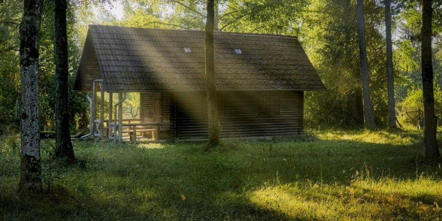 Eine Hütte im Wald (Symbolbild: Ingo Jakubke)