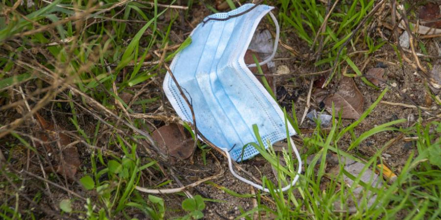 Achtlos weggeworfene Schutzkleidung, wie hier eine Schutzmaske, können für Wildtiere zur bösen Falle werden (Symbolbild: Jacqueline Wales)