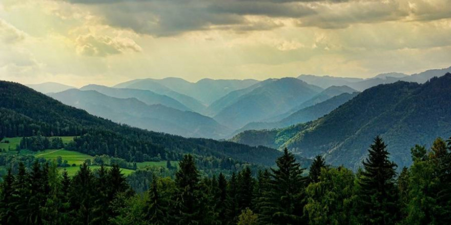 Mit Wald bewachsene hügelige Landschaft (Symbolbild: Schwoaze)