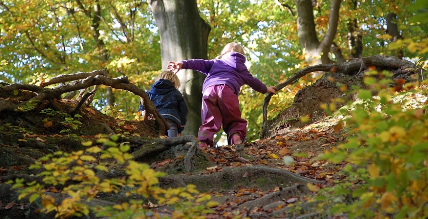 Spielende Kinder im Wald