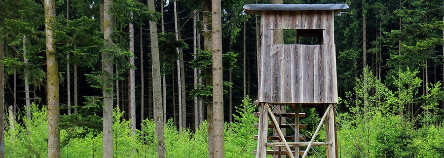 Feige Hochsitz-Säger unterwegs