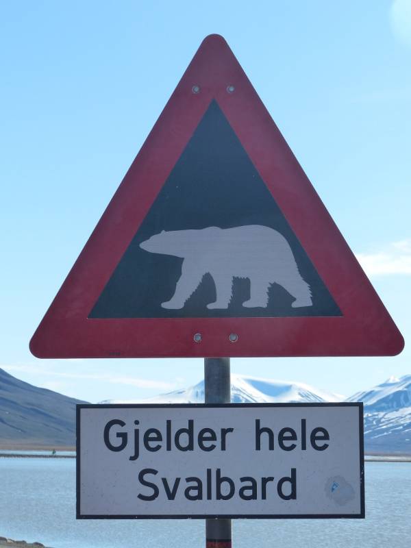 Schild, mit dem vor Eisbären gewarnt wird - Text: 