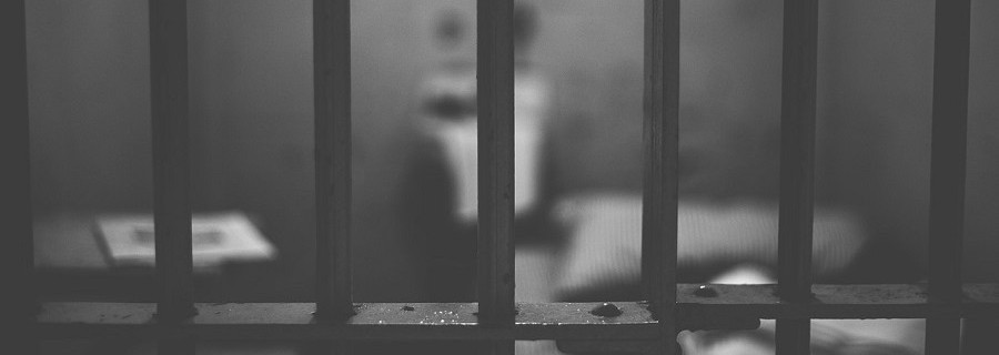 Wolfsschmuggler hinter Gittern