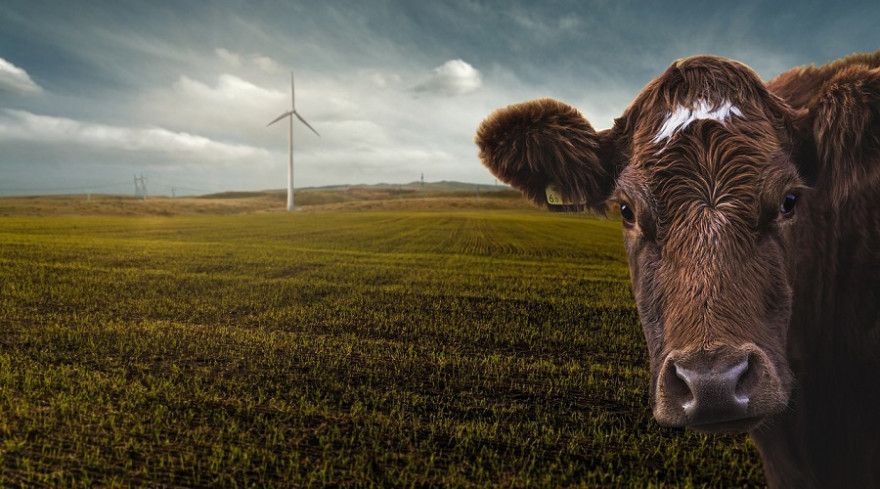 Energie und Landwirtschaft sind neben dem Verkehr zwei Schwerpunktthemen der Studie