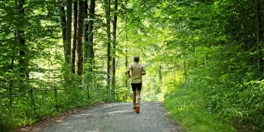 Jogger im Wald