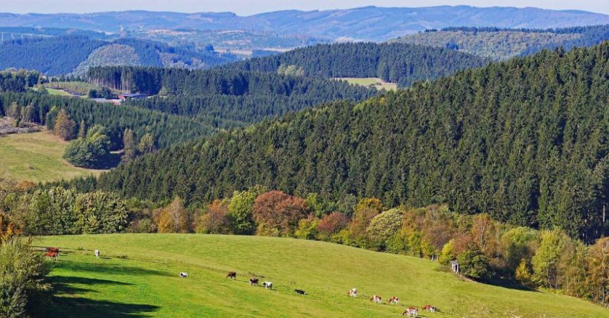 Wälder und Weiden im Sauerland (Symbolbild: Erich Westendarp)