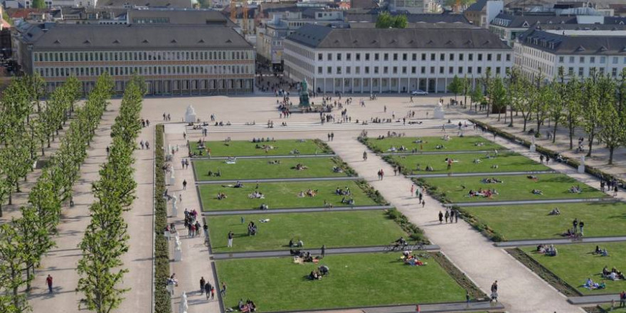 Eine Bache mit ihren zwei Frischlingen wurde unweit des Schloßplatzes, mitten in der Stadt gesehen. (Beispielbild: dlohner)