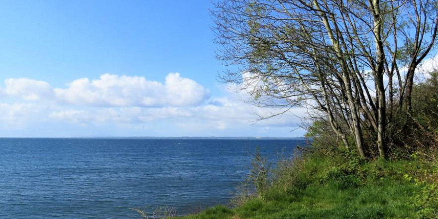 Blick auf die Ostsee von Dänemarks Küste aus (Foto: Monika Schröder)