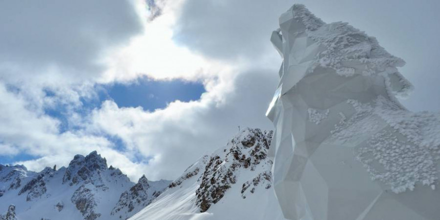 Dass Wölfe aus der Alpenpopulation Nordwest-Deutschland erreichen, ist nicht ungewöhnlich. (Symbolbild: Nadine Doerlé)