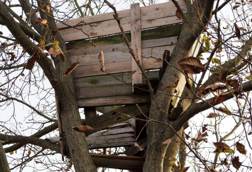 Aus den zerstörten Hochsitzen bauten die Täter ein Baumhaus (Symbolbild: flockine)