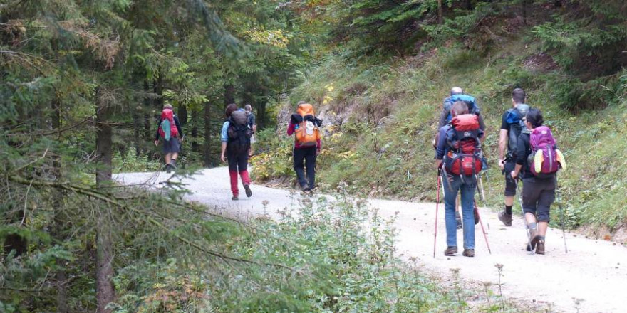 Je besser ausgebaut und leicht begehbar die Wege im Revier sind, desto häufiger werden sie auch von Erholungssuchenden, wie hier z. b. Wanderern, frequentiert. (Foto: Heinz Hummel)