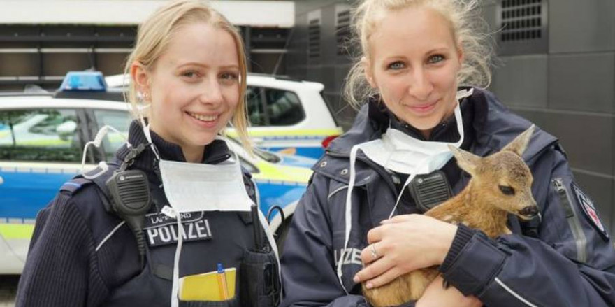 Zwei Polizistinnen der Inspektion Brandenburg mit Rehkitz „Gretchen“ (Foto: Polizeidirektion West, Brandenburg/Havel)