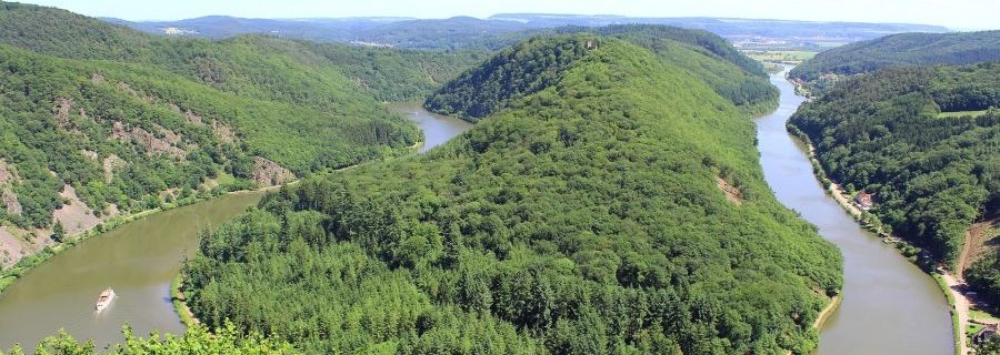 Wahl an der Saar: Was die Parteien jagdpolitisch planen