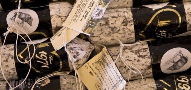 Wildbret: Schützenhilfe von einer Grünen