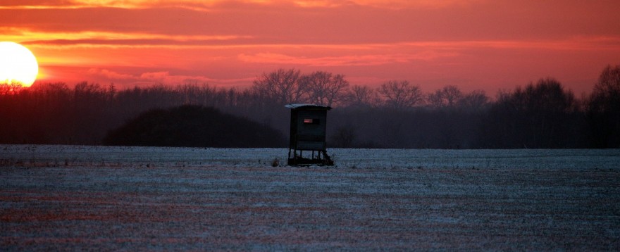 Hochsitz im Sonnenuntergang