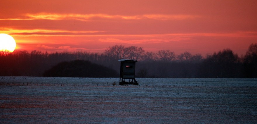 Hochsitz im Sonnenuntergang