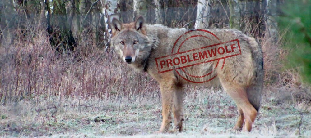 Problemwolf