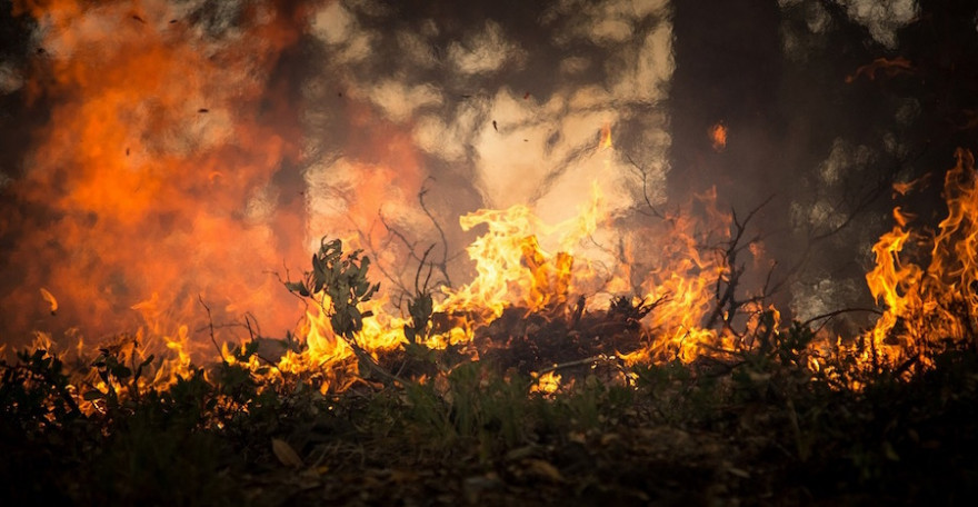 Ein Waldbrand wütet