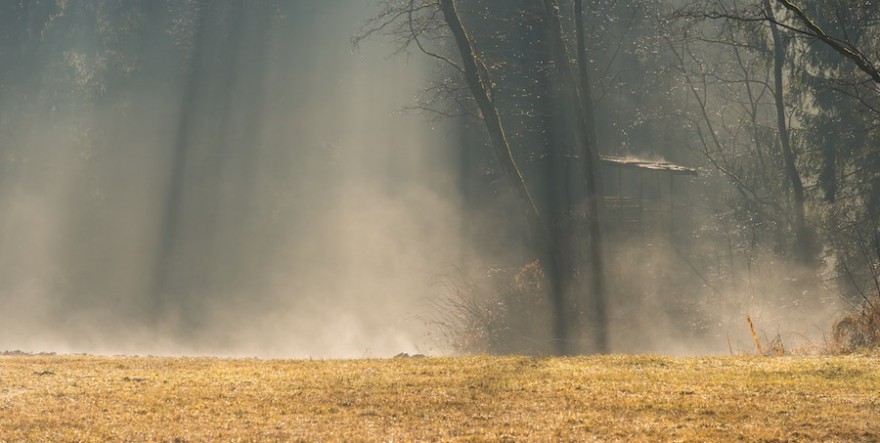 Hochsitz im Dunst