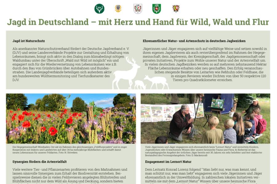 Plakat (Vorschau) des LJV Hessen zur Bonner "Konferenz der Arten.