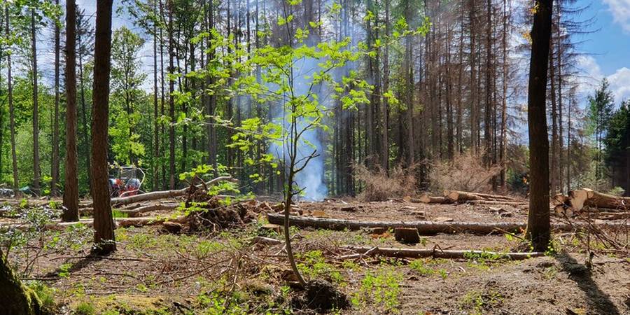 Verbrennen von Schlagabraum (Foto: Wald und Holz NRW)