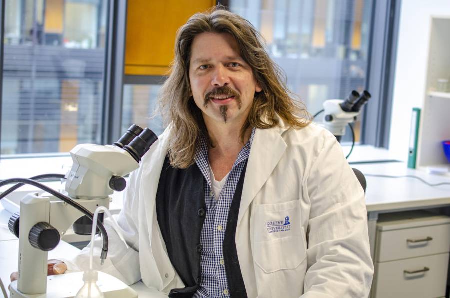 Norbert Peter, Projektkoordinator ZOWIAC an der Goethe-Universität Frankfurt. (Quelle: Dörge/Goethe-Universität Frankfurt)
