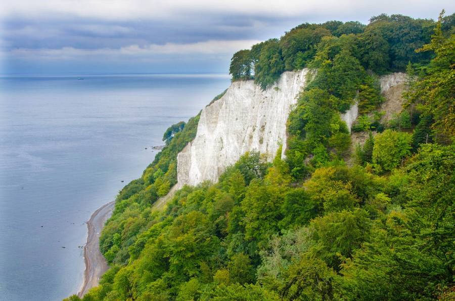 Wald über den Kreidefelsen der Insel Rügen (Symbolbild: Pixaline)