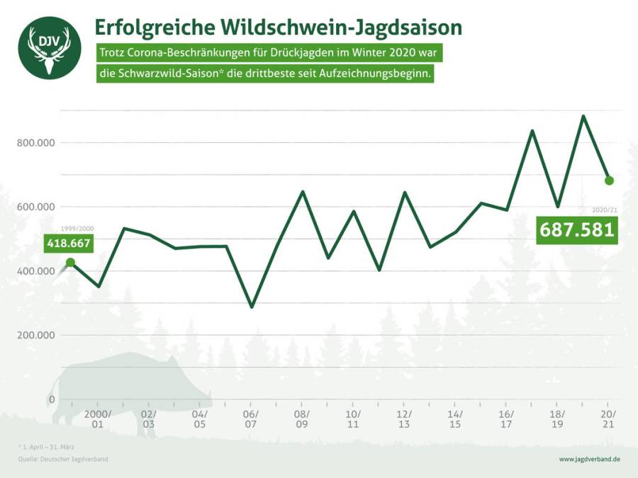 Schwarzwild: Steigerungsrate 1999/2000 - 2020/2021 (Quelle: DJV)