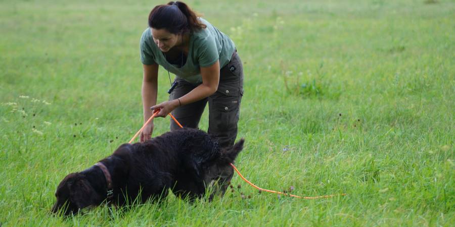 Hundeführerin mit Hund bei der Ausbildung (Foto: JKA)