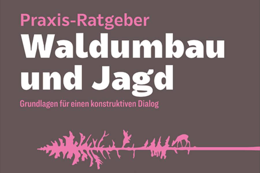 Das FVA-Wildtierinstitut hat einen Praxis-Ratgeber herausgegeben, der einen konstruktiven Dialog zwischen Forstwirtschaft, Waldbesitz und Jagdausübungsberechtigten ermöglichen soll. (Quelle: FVA)