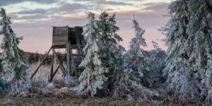 Winterlandschaft mit einem Hochsitz (Symbolbild: iStock/HT-Pix)